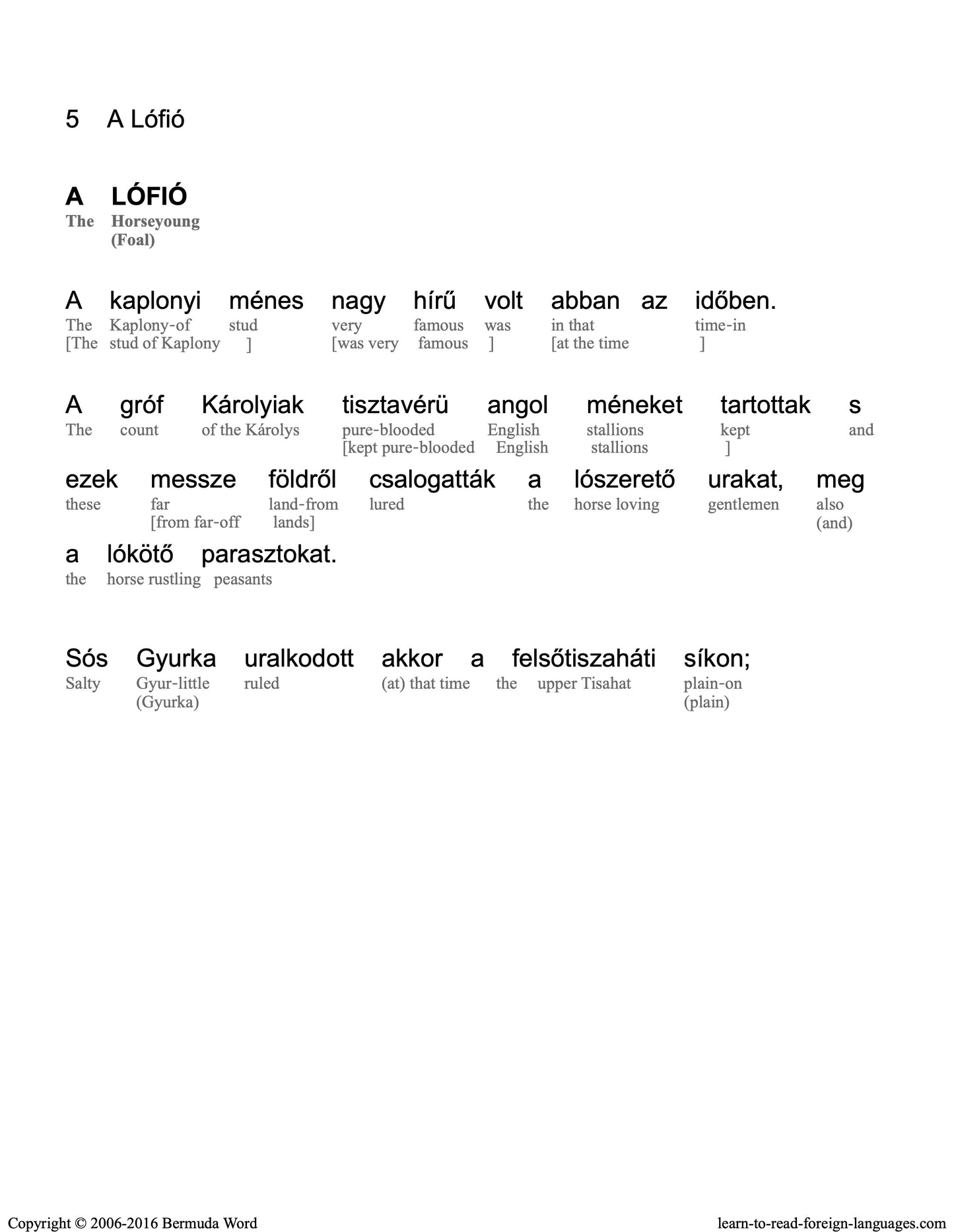 HypLern - Learn Hungarian With Short Stories - Interlinear PDF, Epub, Mobi plus MP3s