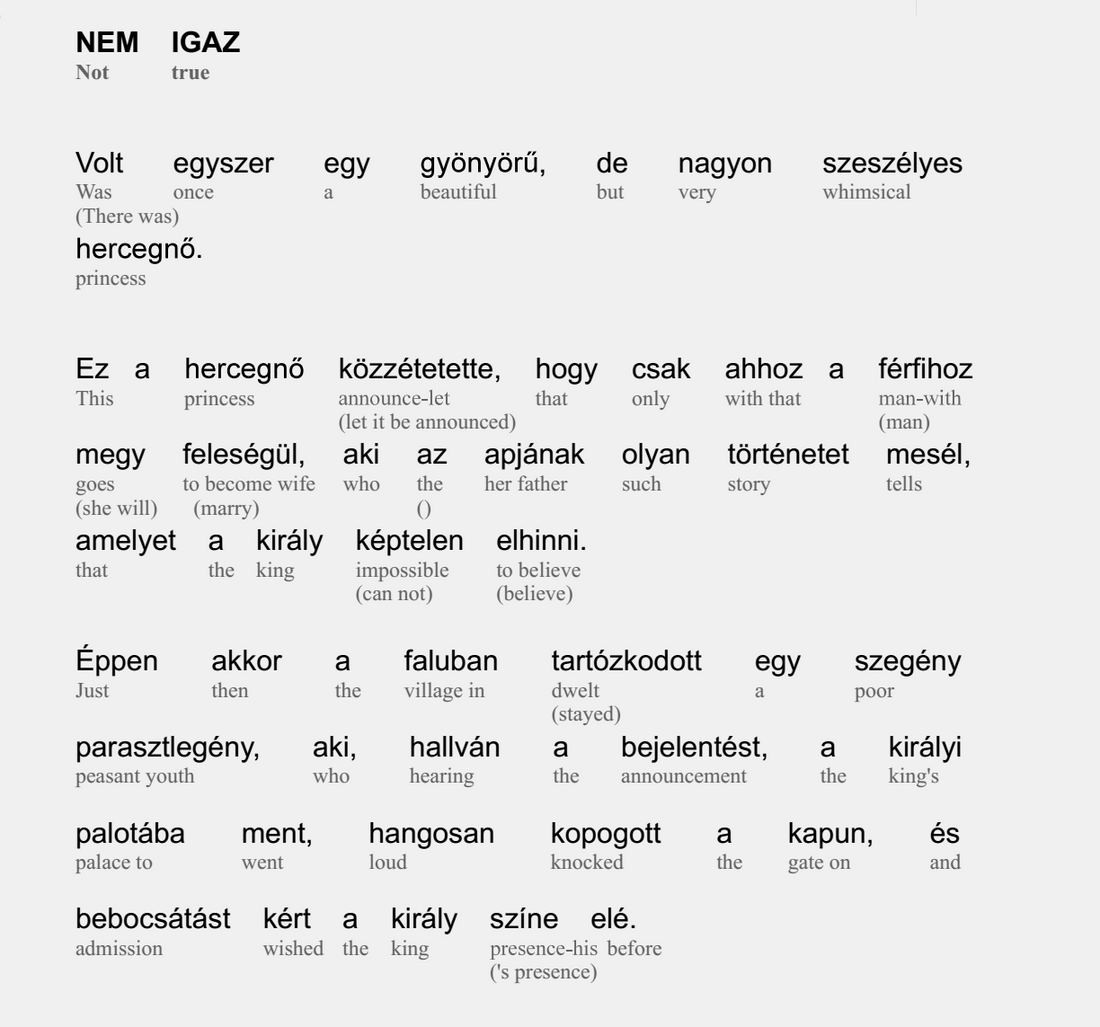 Learn Hungarian the Smart (and Fun) Way — With HypLern’s Beginner & Short Stories